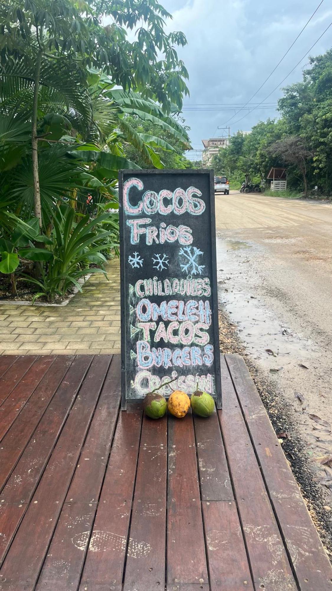 Cacao Estudio Particular Tulum
